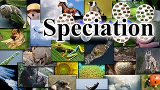 Why Evolution is True - Part 2: Speciation