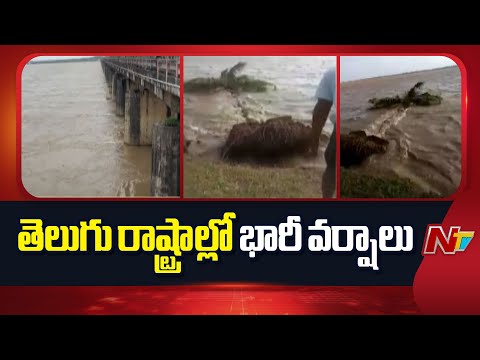 Rain Alert : IMD Issues Heavy Rain Alert To Telugu States | NTV Telugu - NTVTELUGU