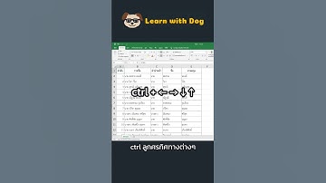 Excel : รวมคีย์ลัดพื้นฐานทำงานเสร็จไว #จารย์หมา #excel #microsoft #exceltips #tip