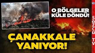 Çanakkale Yaniyor O Bölgeler Küle Döndü Köyler Boşaltıldı Cehennem Gibi Görüntüler