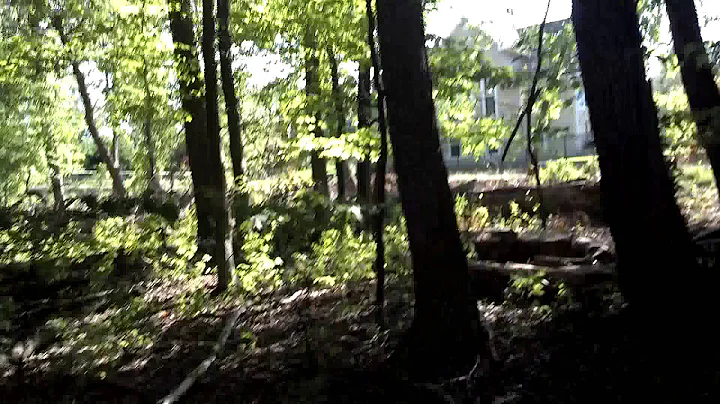 Illegal Dumping in the Edith Stevens Perserve