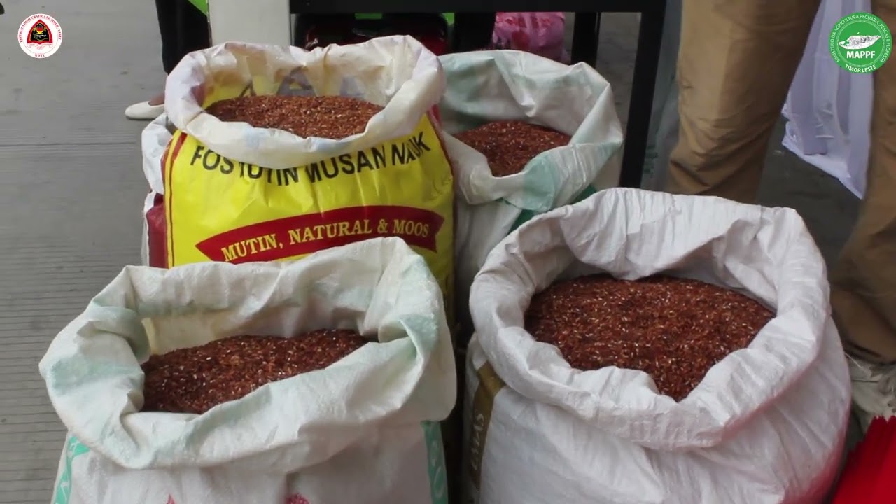 MAPPF-CCITL Cámara Comercio Industría Timor Leste