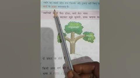 Hindi grammar class 2 chapter 2 part 1 (revision) by gauri Kumari