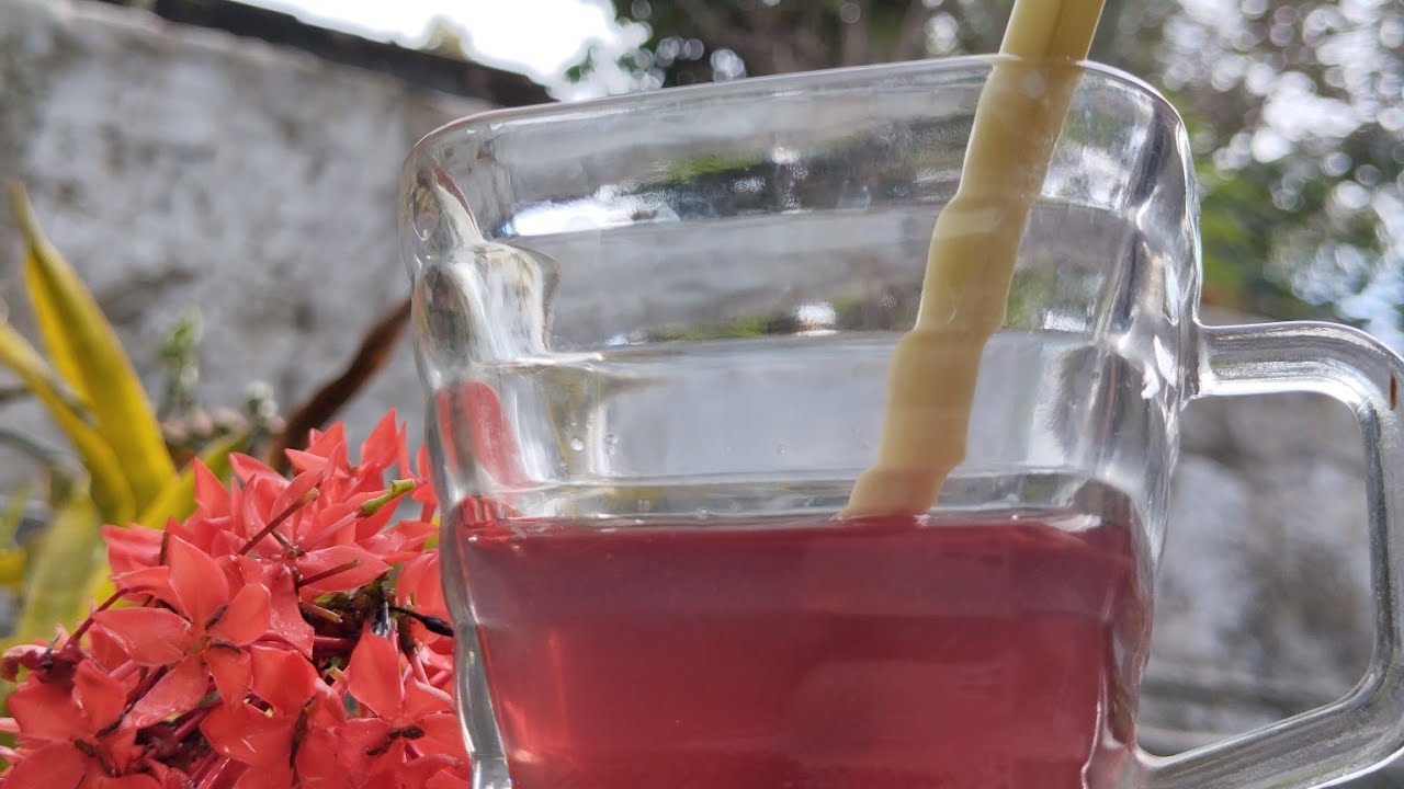 cara membuat Teh Herbal dari Bunga Asoka. #bungaasoka #tehherbal #bungahias