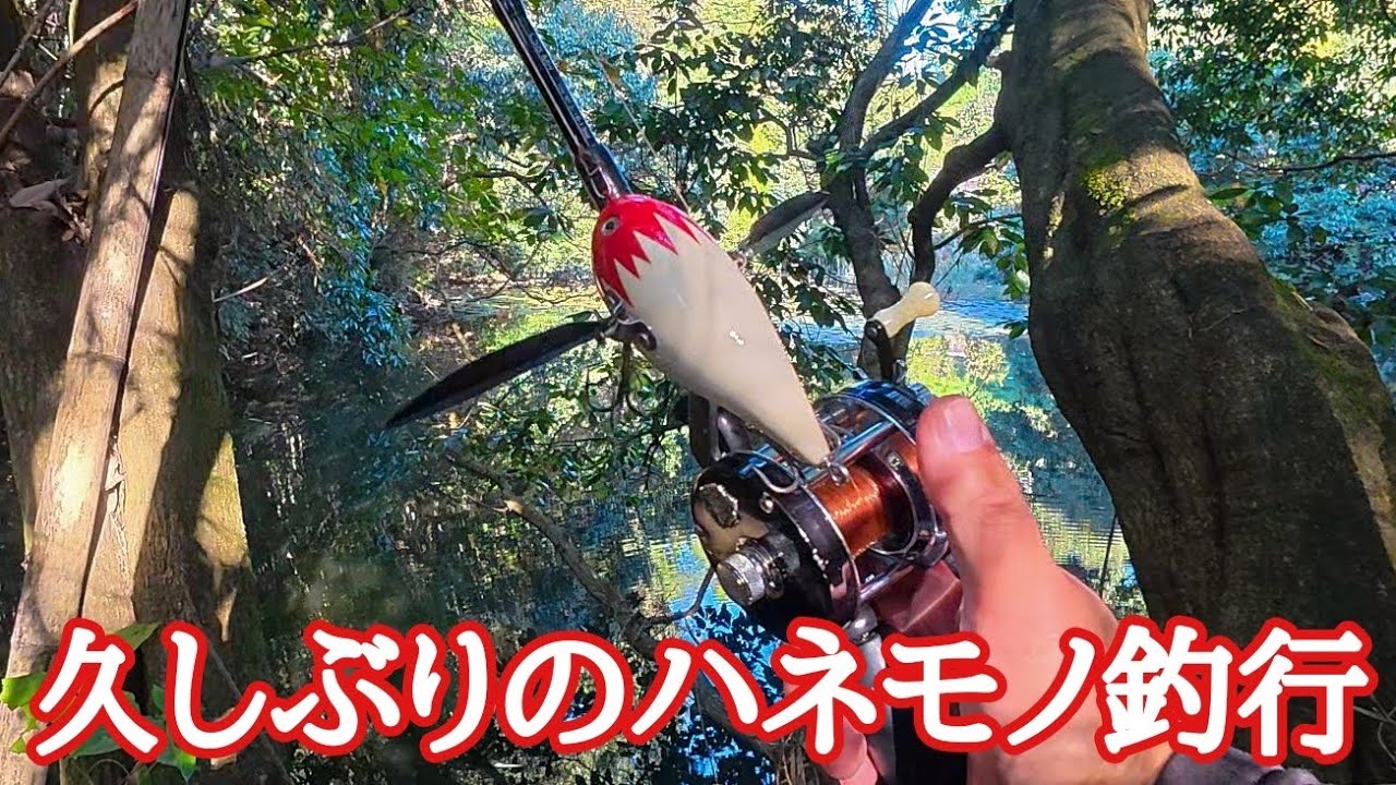 リメイクしたハネモノ投げてきました【Bass Fishing in Japan】