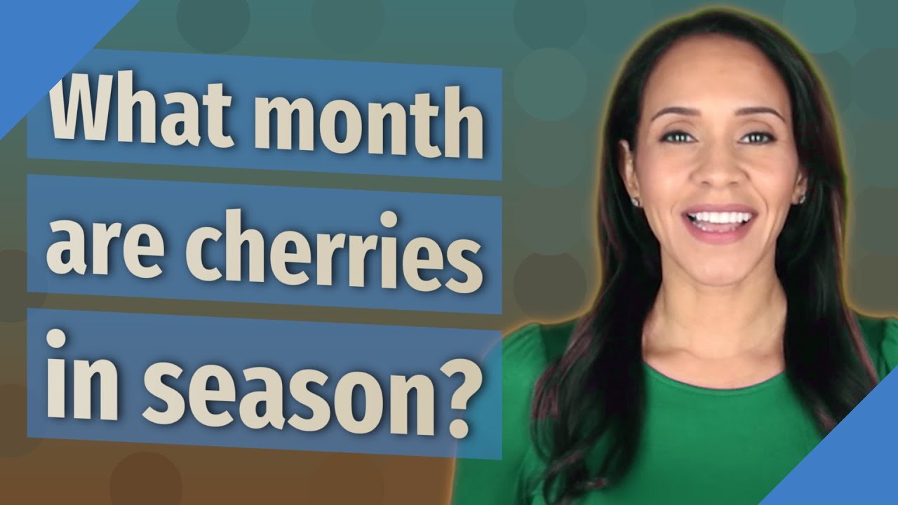 What month are cherries in season? YouTube