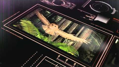 Canon Professional Network - The EOS-1D X