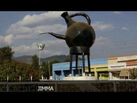 Jimma Town And Aba Jifar Palaca