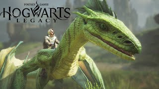 Fly Around the Castle with My GreenWelsh Dragon - 4K 60FPS Quality screenshot 4