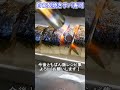 自家製焼きサバ寿司 #鯖ずし #カセットバーナー #魚料理