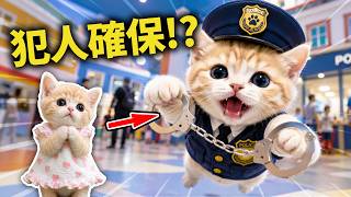 【社畜ねこのむぎ】見つけたにゃ！ちゃまるが人生初めての職業体験をした結果...