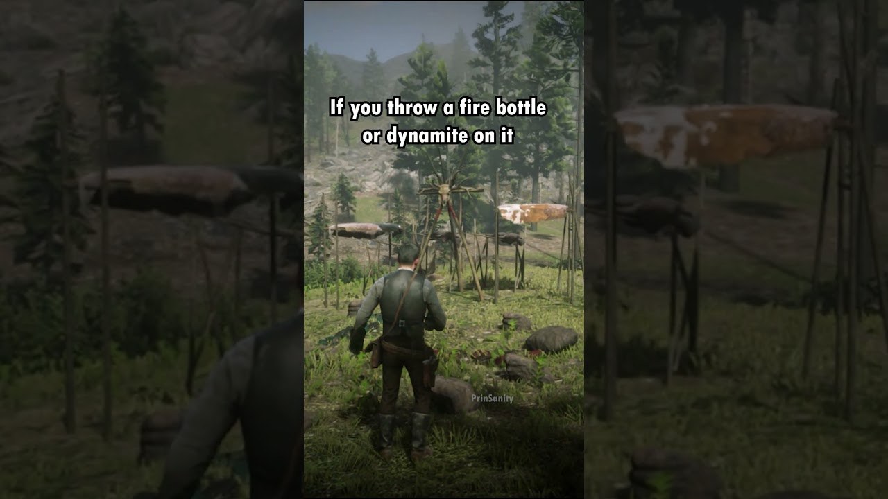 RDR2 - mystery of the Indian Burial Ground 