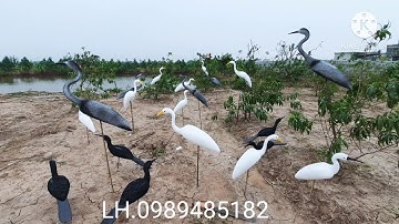 diệc xốp dẻo . Cò trắng  cọc cọc.   Ship  tận nhà.  kiểm hàng  trước khi nhận 0989485182