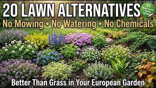 20 No-Mow Lawn Alternatives That Look Better Than Grass (Zero Maintenance)