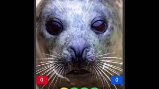 How to use OSMO words screenshot 5