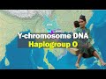 Subclade  Distribution of Y-chromosome DNA Haplogroup O