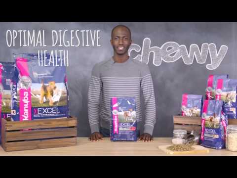 Eukanuba Excel Dog Food | Chewy