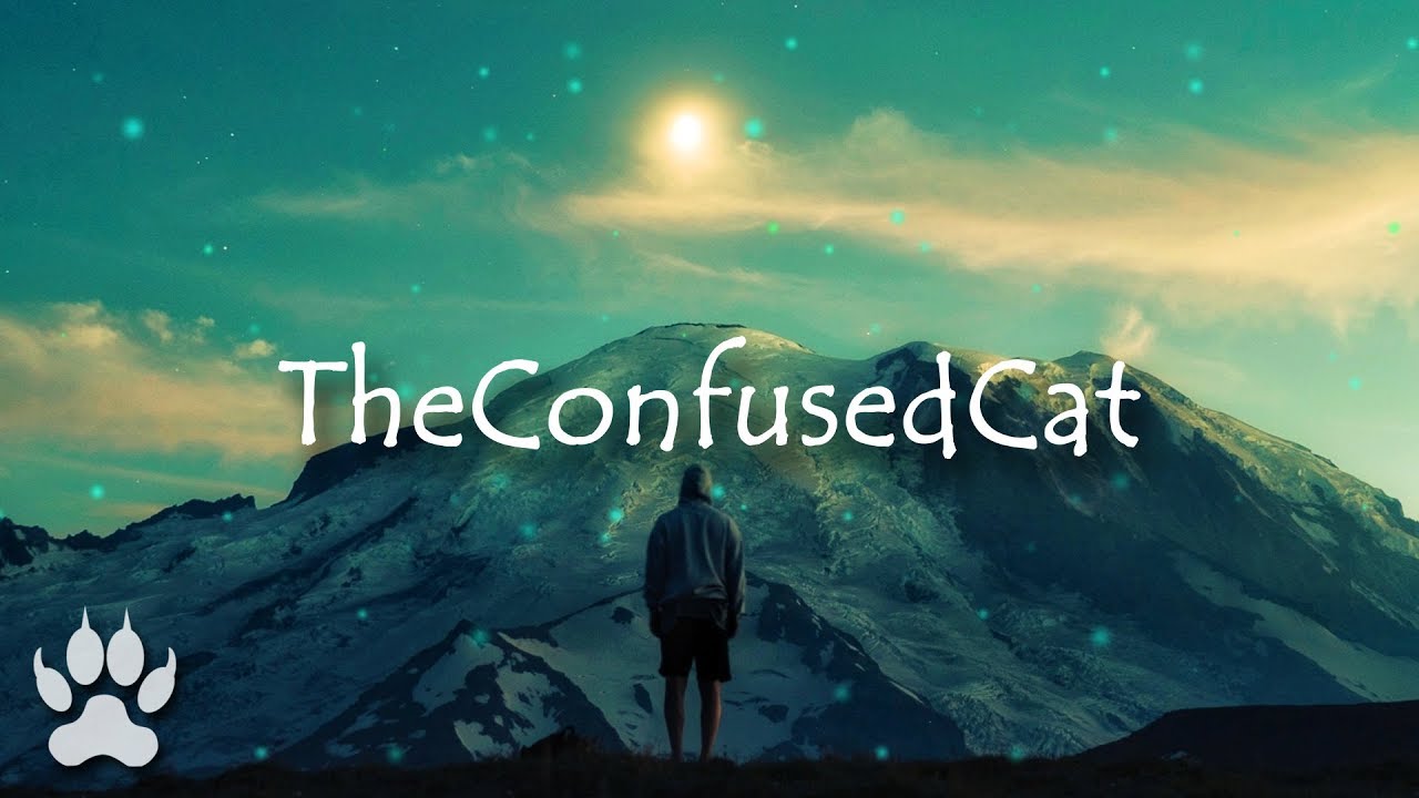 ＴＲＡ＄Ｈ - ＹＯＵ ＨＡＵＮＴ ＭＹ ＤＲＥＡＭＳ