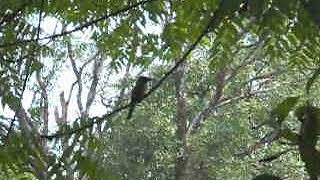 DSCN0229