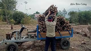 Carrying firewood by homemade vehicle Dùng xe chế chở củi