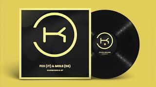 FEX (IT) & Mole (DE) - Harmonika Resimi