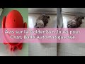 Avis sur la GoldenSun Jouet pour Chat, Balle Automatique avec Queue en Plumes pour Chats d'intérieur