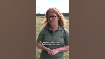Eerste permanente wolfwerende raster in Sellingen