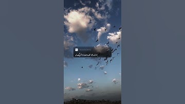 اذكار الصباح حالات واتساب مشاري العفاسي🤍