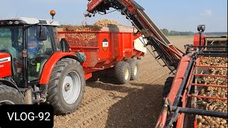 FARMVLOG #92 uien oogst, opladen en inschuren,  onion harvest, load and store