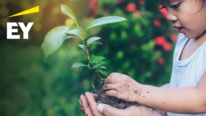 ISSB deliberations on draft IFRS S1 and IFRS S2 and how they relate to EY Comment Letters