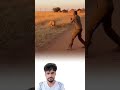 ليست الشجاعة أن تواجه الأسد بل أن تواجه خوفك قبل أن تراه اكسبلور لايك Shorts Trending Viral 
