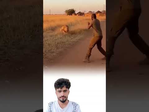 ليست الشجاعة أن تواجه الأسد بل أن تواجه خوفك قبل أن تراه اكسبلور لايك Shorts Trending Viral