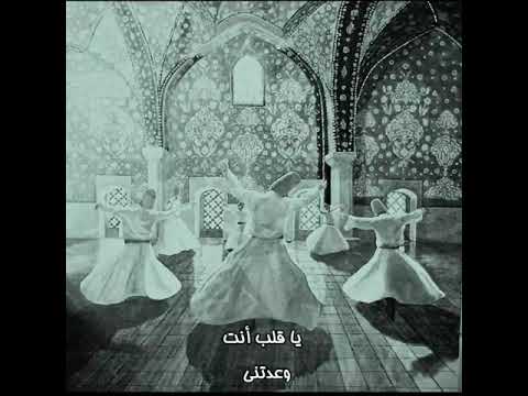 8 يا قلب أنت وعدتنى