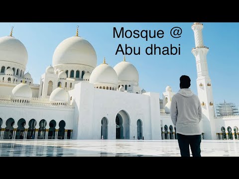 Sheikh Zayed Grand Mosque @Abu Dhabi.       #habibi  #dubai #Mosque #abu dhabi