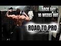 BACK DAY & NEW APARTMENT TOUR/ ROAD TO PRO