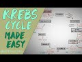 KREBS CYCLE MADE EASY - Krebs cycle Simple Animation. Carbohydrate Metabolism Lesson