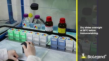 FFPE Tissue Slide Preparation and Processing