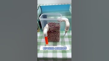 DIY Aquarium Filter  #fishkeepinghobby #diyaquariumfilter #diy #fishtankfilter #diycrafts #shorts