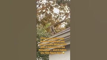 NO GATEKEEPING it is called the Noise app. #sidehustle #makemoneyfromhome #noise #meput