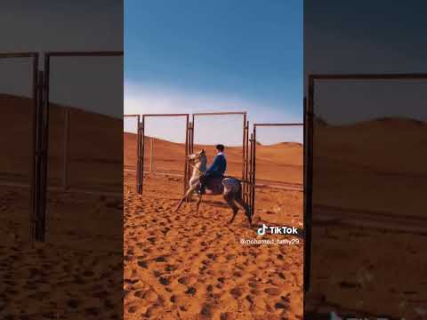 مساكن كفر الجبل