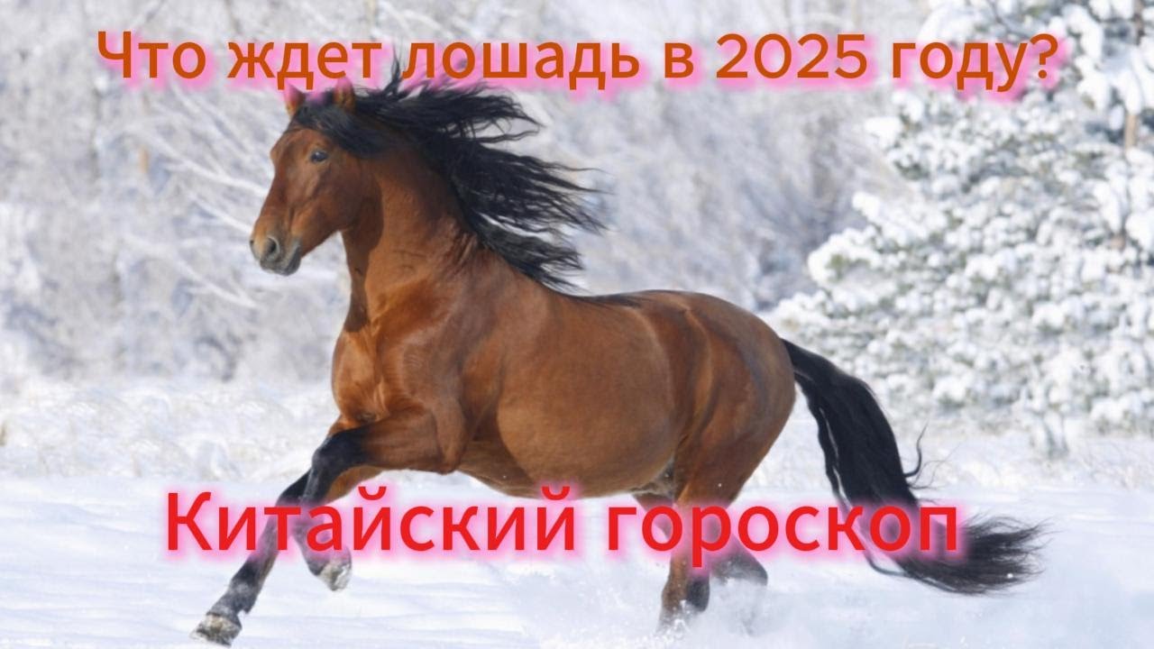 Какая лошадь по восточному календарю Гороскоп на 2019 год лошадь Предсказания лошадей для любви на 2019 год. sushim