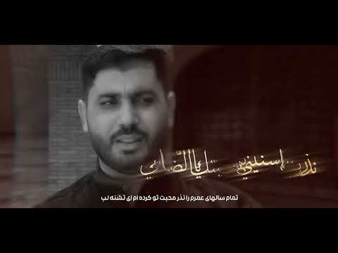 عبدالباسط الخزاعي ناصر النصاری یاعبرة وعبرةصفرالمظفر1447 2025