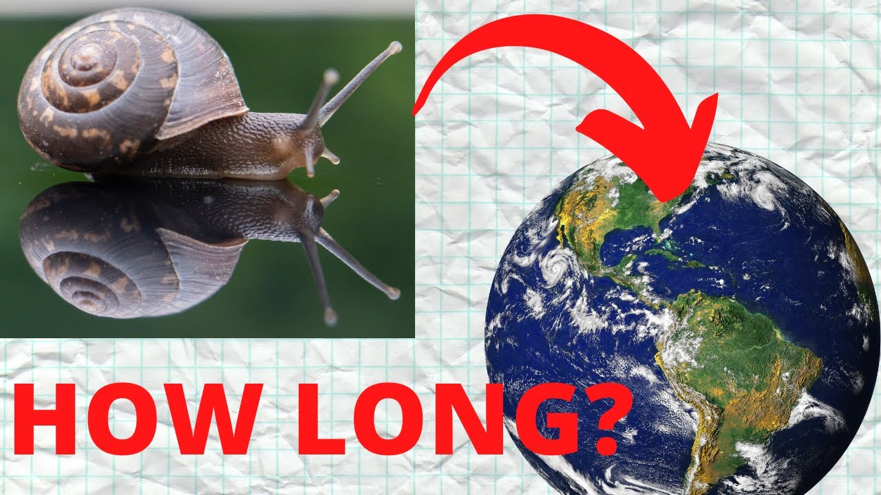 How Long Would It Take For A Snail To Travel Around The Earth YouTube How Long Would It Take For A Snail To Travel Around The Earth YouTube