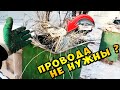 ЛАЗАЯ ПО МУСОРКАМ РОССИИ ПОИСК МЕТАЛЛОЛОМА БЕЗ МЕТАЛЛОИСКАТЕЛЯ НА СВАЛКЕ КАК ЗАРАБОТАТЬ ДЕНЬГИ? #13