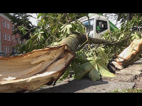 Patient Baum -