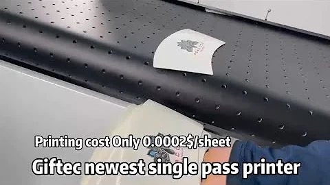 New design Single pass digital printer,paper cups inkjet color printing machine#singlepassprinter