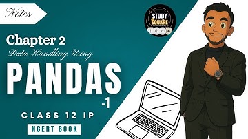 Chapter 2: Data Handling using Pandas - I | Class 12 IP | NCERT  | Riday Sir