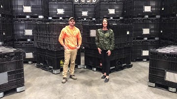 GEN250 Informative Comparison