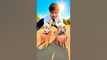 Remote control 2 ta horse and 2  ta camel #unboxing #shortvideo ￼