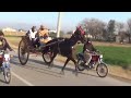 Jalwa horse race hazro